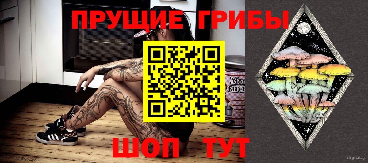 Псилоцибиновые грибы Cubensis Орехово-Зуево