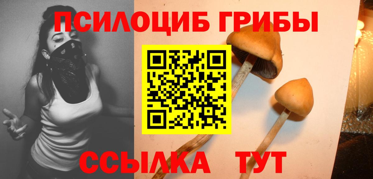 Орехово-Зуево  Галлюциногенные грибы Psilocybe  Вход с VPN 